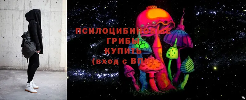 Галлюциногенные грибы Cubensis  Кировск 